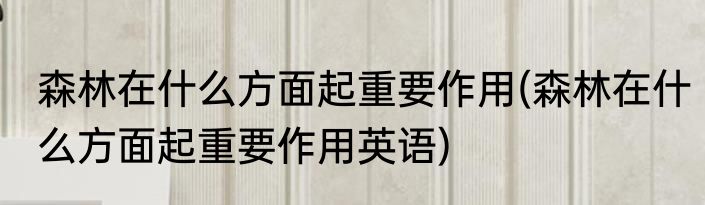 森林在什么方面起重要作用(森林在什么方面起重要作用英语)