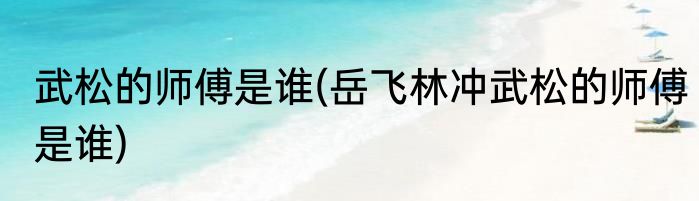 武松的师傅是谁(岳飞林冲武松的师傅是谁)