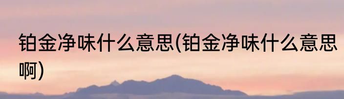 铂金净味什么意思(铂金净味什么意思啊)