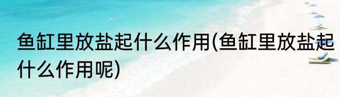 鱼缸里放盐起什么作用(鱼缸里放盐起什么作用呢)