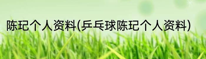 陈玘个人资料(乒乓球陈玘个人资料)