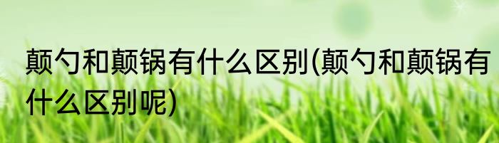 颠勺和颠锅有什么区别(颠勺和颠锅有什么区别呢)