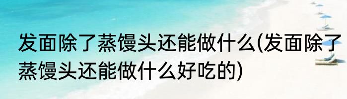 发面除了蒸馒头还能做什么(发面除了蒸馒头还能做什么好吃的)