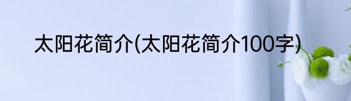 太阳花简介(太阳花简介100字)