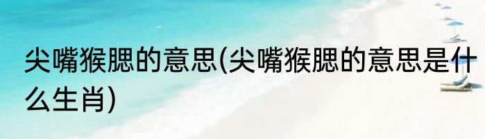 尖嘴猴腮的意思(尖嘴猴腮的意思是什么生肖)