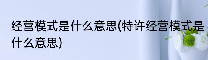 经营模式是什么意思(特许经营模式是什么意思)