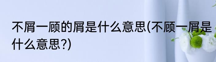 不屑一顾的屑是什么意思(不顾一屑是什么意思?)