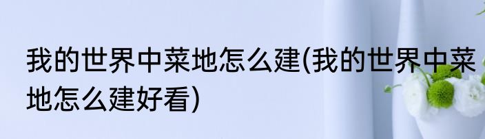 我的世界中菜地怎么建(我的世界中菜地怎么建好看)