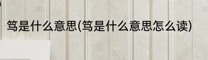 笃是什么意思(笃是什么意思怎么读)