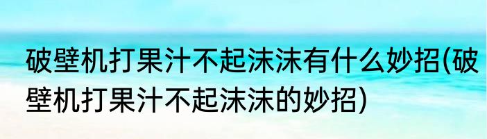 破壁机打果汁不起沫沫有什么妙招(破壁机打果汁不起沫沫的妙招)