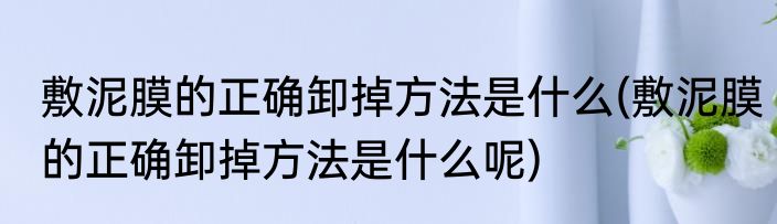 敷泥膜的正确卸掉方法是什么(敷泥膜的正确卸掉方法是什么呢)