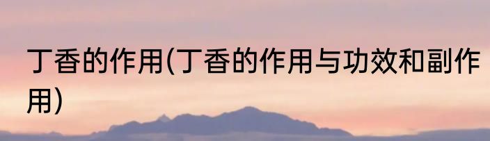 丁香的作用(丁香的作用与功效和副作用)