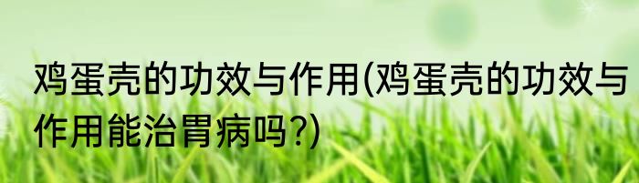 鸡蛋壳的功效与作用(鸡蛋壳的功效与作用能治胃病吗?)