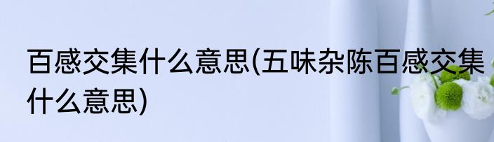 百感交集什么意思(五味杂陈百感交集什么意思)