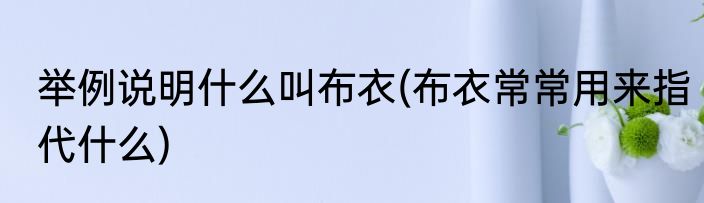 举例说明什么叫布衣(布衣常常用来指代什么)