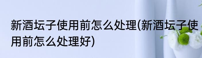新酒坛子使用前怎么处理(新酒坛子使用前怎么处理好)