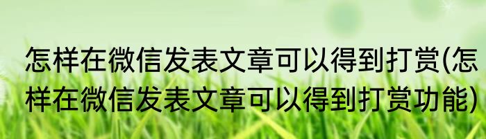 怎样在微信发表文章可以得到打赏(怎样在微信发表文章可以得到打赏功能)