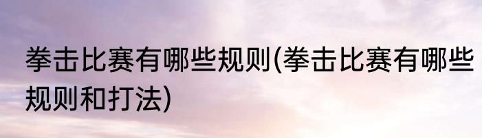 拳击比赛有哪些规则(拳击比赛有哪些规则和打法)