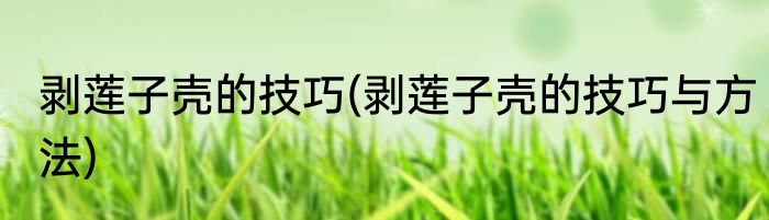 剥莲子壳的技巧(剥莲子壳的技巧与方法)