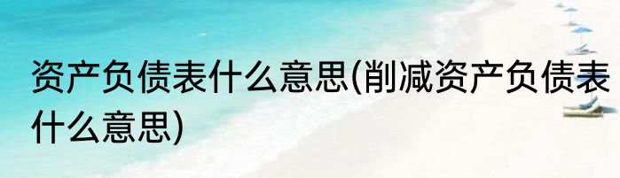 资产负债表什么意思(削减资产负债表什么意思)