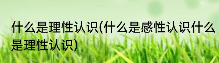什么是理性认识(什么是感性认识什么是理性认识)