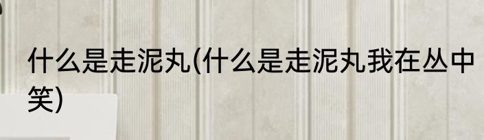 什么是走泥丸(什么是走泥丸我在丛中笑)