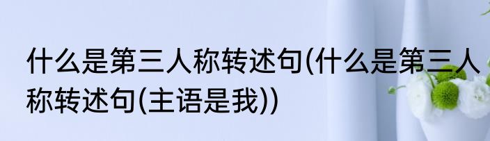 什么是第三人称转述句(什么是第三人称转述句(主语是我))