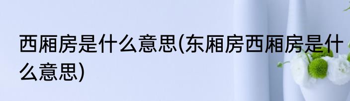 西厢房是什么意思(东厢房西厢房是什么意思)