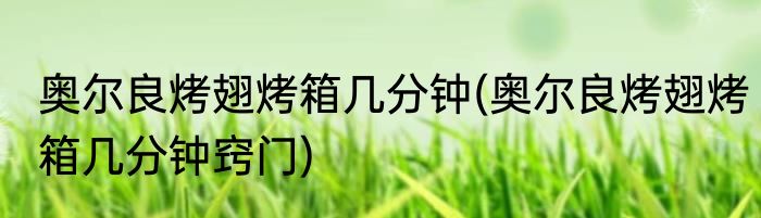 奥尔良烤翅烤箱几分钟(奥尔良烤翅烤箱几分钟窍门)