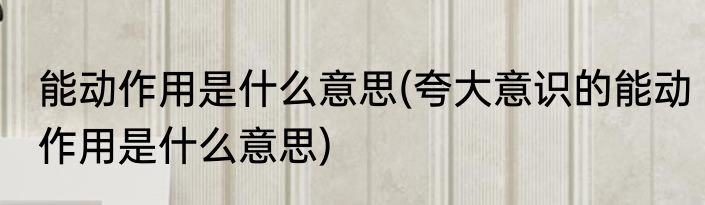 能动作用是什么意思(夸大意识的能动作用是什么意思)