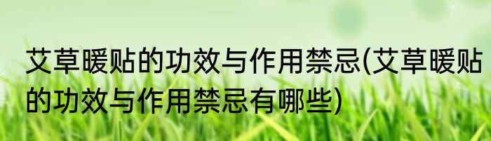 艾草暖贴的功效与作用禁忌(艾草暖贴的功效与作用禁忌有哪些)