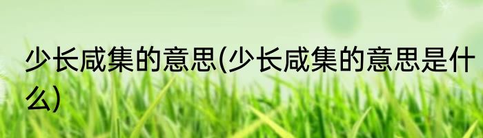 少长咸集的意思(少长咸集的意思是什么)