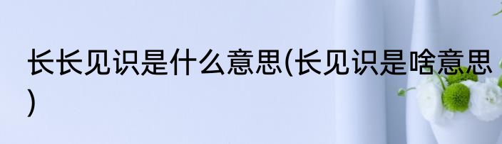 长长见识是什么意思(长见识是啥意思)