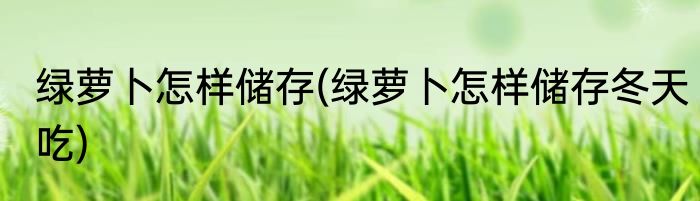 绿萝卜怎样储存(绿萝卜怎样储存冬天吃)