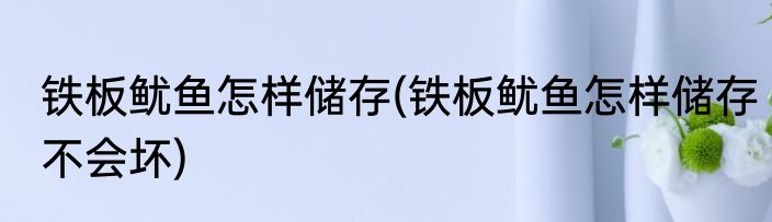 铁板鱿鱼怎样储存(铁板鱿鱼怎样储存不会坏)