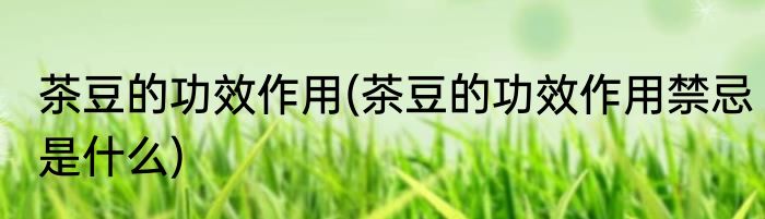 茶豆的功效作用(茶豆的功效作用禁忌是什么)