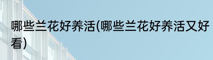 哪些兰花好养活(哪些兰花好养活又好看)