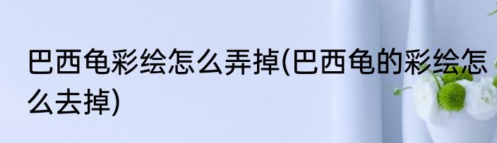 巴西龟彩绘怎么弄掉(巴西龟的彩绘怎么去掉)