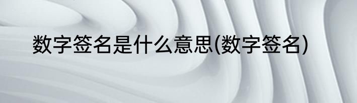 数字签名是什么意思(数字签名)