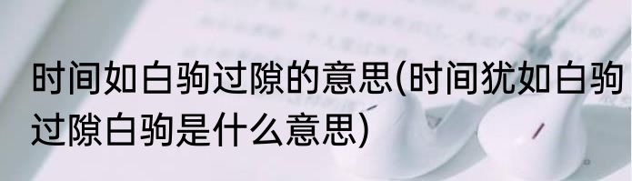 时间如白驹过隙的意思(时间犹如白驹过隙白驹是什么意思)