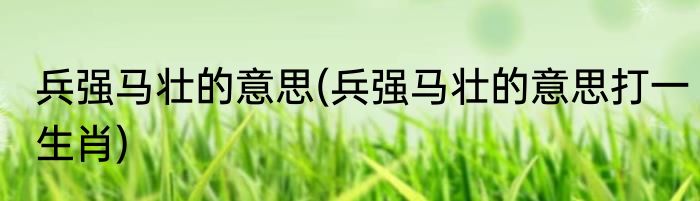 兵强马壮的意思(兵强马壮的意思打一生肖)