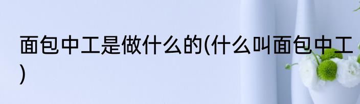 面包中工是做什么的(什么叫面包中工)