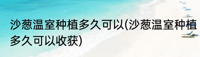 沙葱温室种植多久可以(沙葱温室种植多久可以收获)