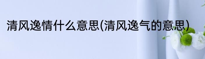 清风逸情什么意思(清风逸气的意思)