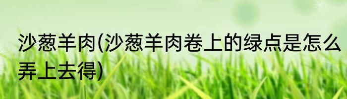 沙葱羊肉(沙葱羊肉卷上的绿点是怎么弄上去得)