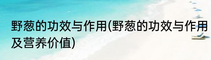 野葱的功效与作用(野葱的功效与作用及营养价值)