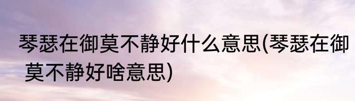 琴瑟在御莫不静好什么意思(琴瑟在御 莫不静好啥意思)