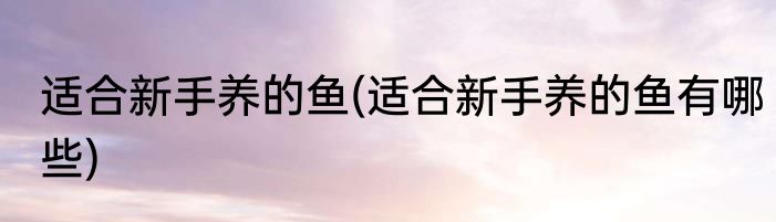 适合新手养的鱼(适合新手养的鱼有哪些)