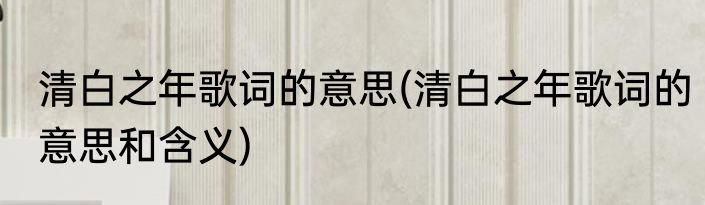 清白之年歌词的意思(清白之年歌词的意思和含义)