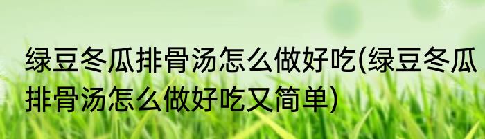 绿豆冬瓜排骨汤怎么做好吃(绿豆冬瓜排骨汤怎么做好吃又简单)